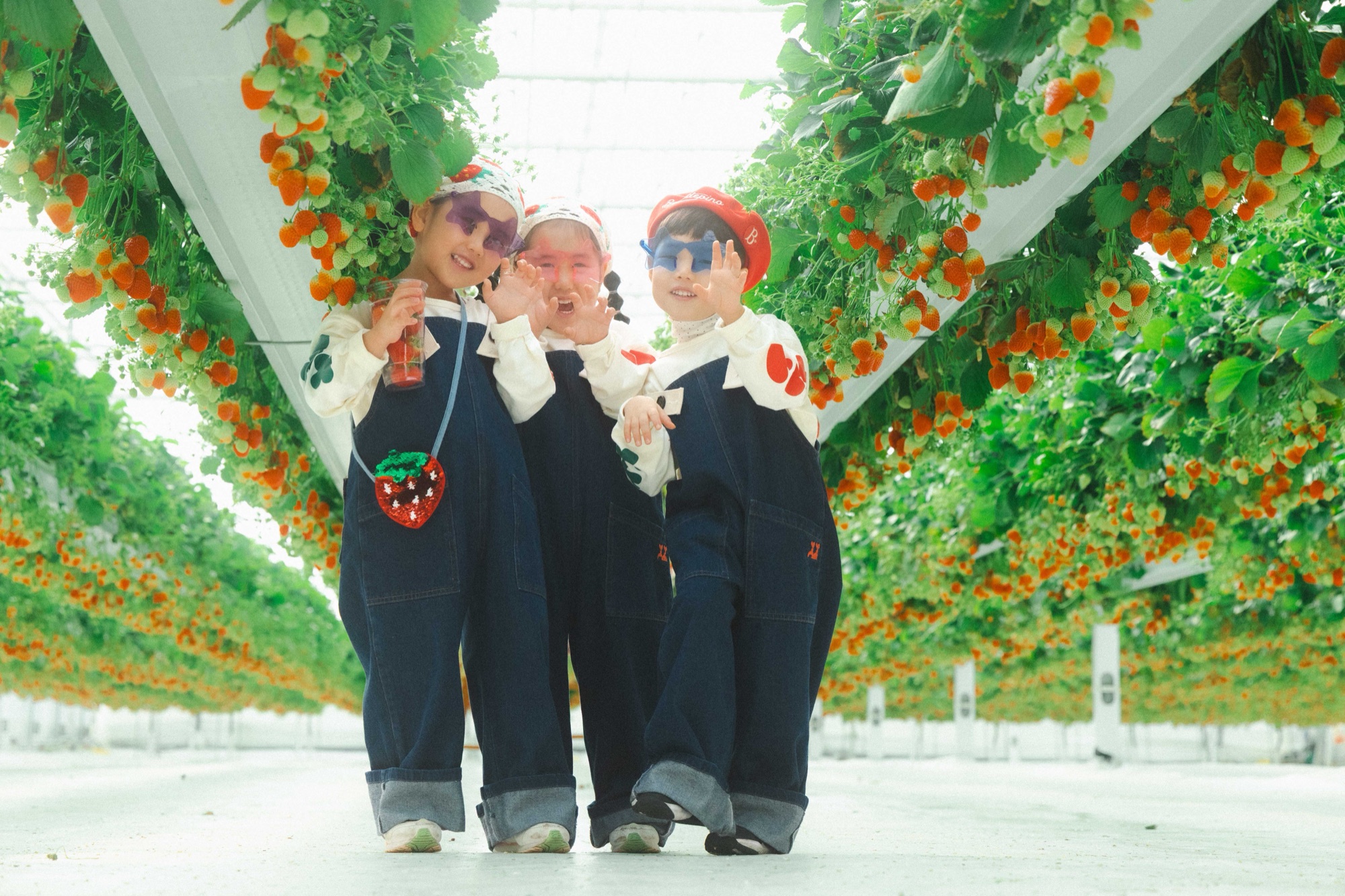 하늘의별딸기 방문과 주차 안내를 표현한 이미지