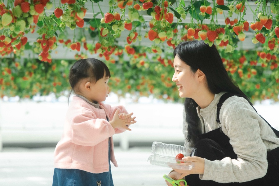 엄마와 아이가 온실에서 딸기 바구니를 들고 이야기하는 모습
