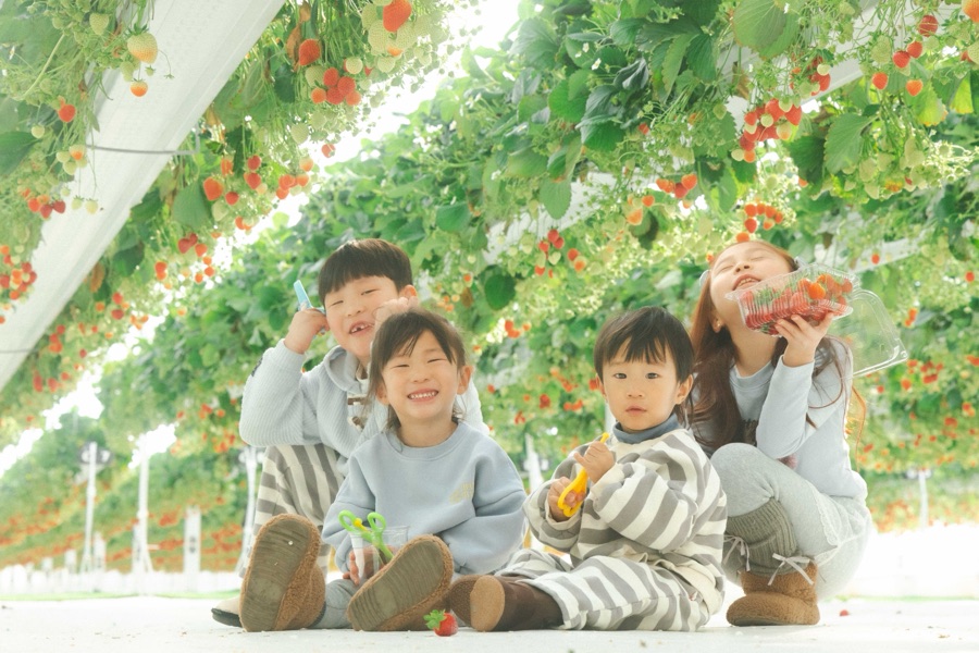 딸기밭 안에서 웃고 있는 네 아이